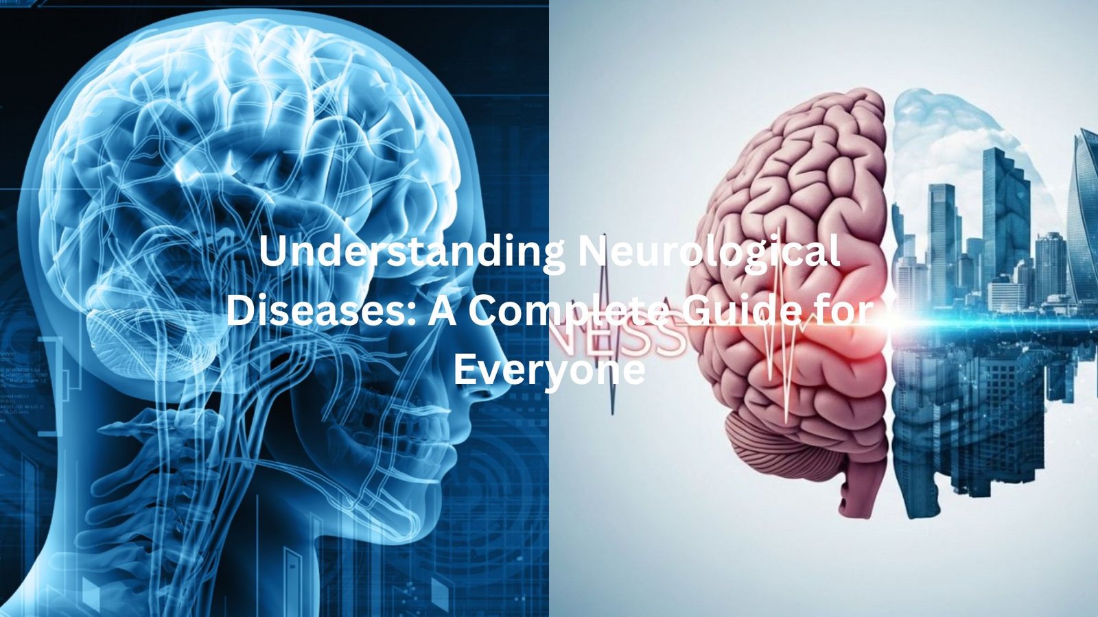 doctorhub360.com neurological diseases
