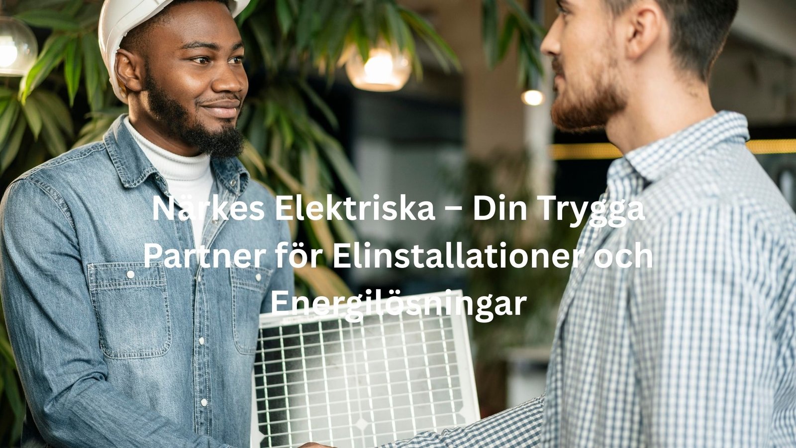 närkes elektriska